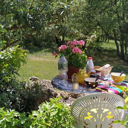 Gorges Du Verdon : Guest House Avec Piscine Baudinard Экстерьер фото