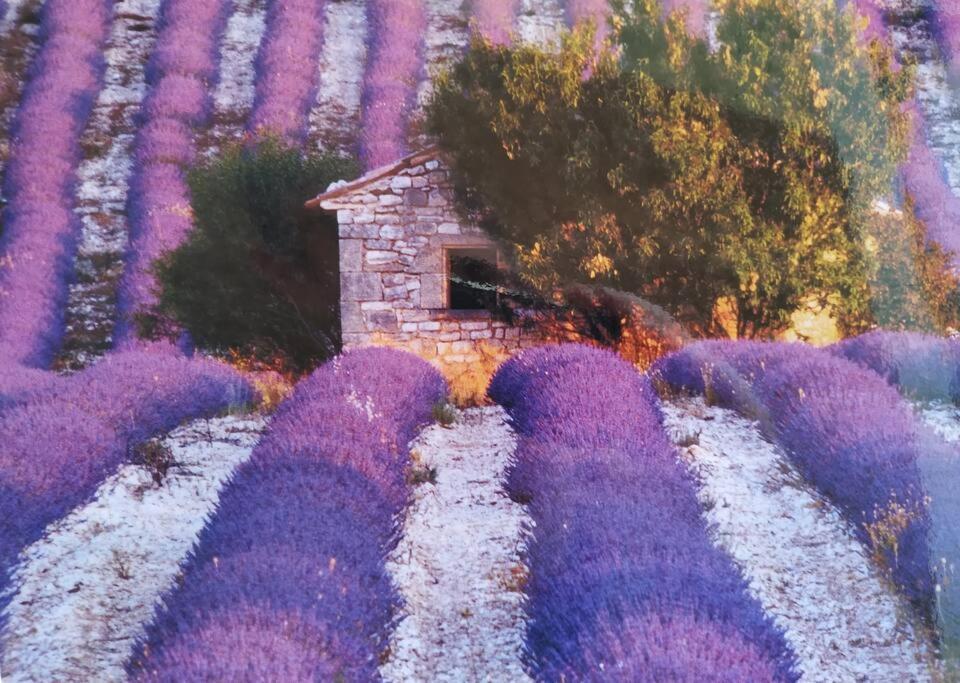 Gorges Du Verdon : Guest House Avec Piscine Baudinard Экстерьер фото