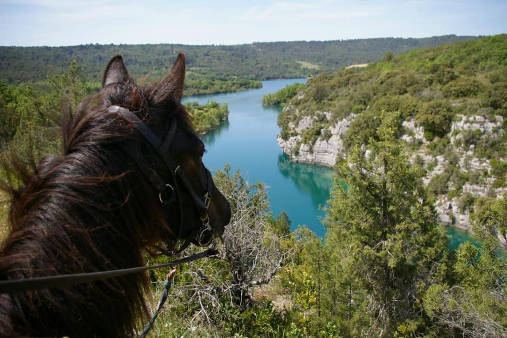 Gorges Du Verdon : Guest House Avec Piscine Baudinard Экстерьер фото